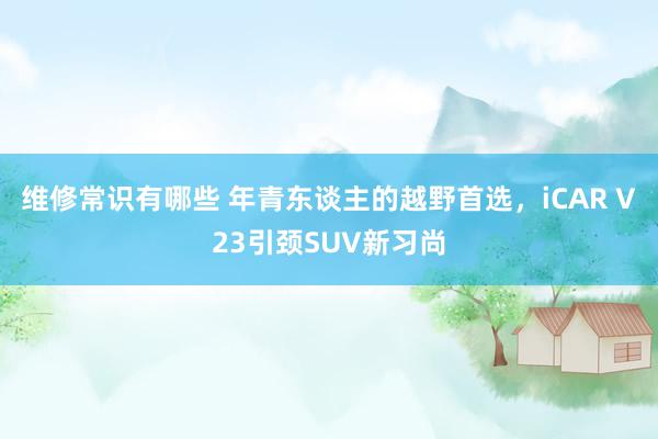 维修常识有哪些 年青东谈主的越野首选，iCAR V23引颈SUV新习尚