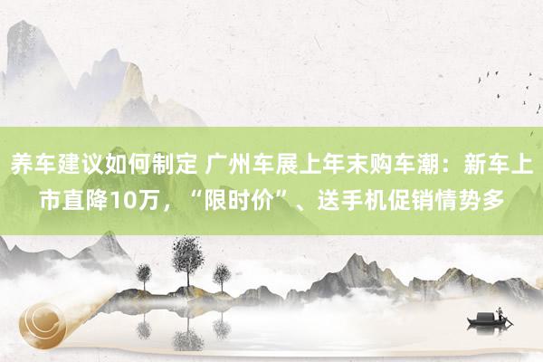 养车建议如何制定 广州车展上年末购车潮：新车上市直降10万，“限时价”、送手机促销情势多