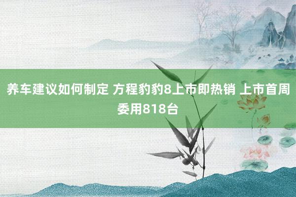 养车建议如何制定 方程豹豹8上市即热销 上市首周委用818台