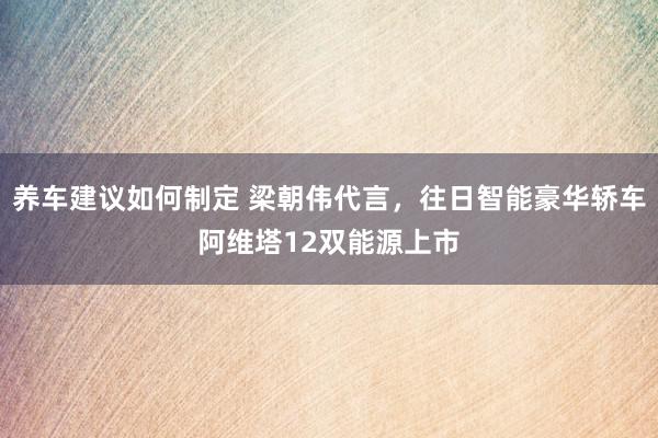 养车建议如何制定 梁朝伟代言，往日智能豪华轿车阿维塔12双能源上市