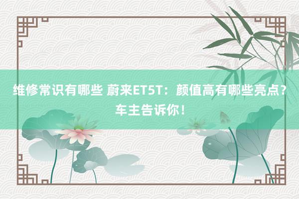 维修常识有哪些 蔚来ET5T：颜值高有哪些亮点？车主告诉你！