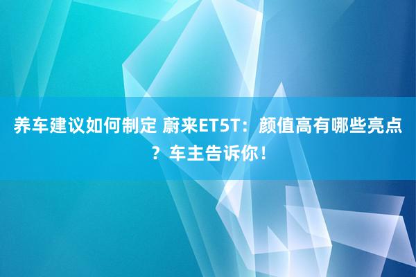 养车建议如何制定 蔚来ET5T：颜值高有哪些亮点？车主告诉你！