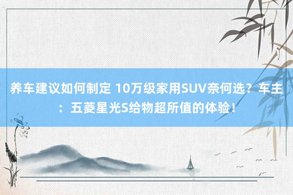 养车建议如何制定 10万级家用SUV奈何选？车主：五菱星光S给物超所值的体验！