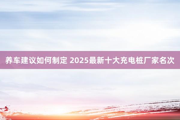 养车建议如何制定 2025最新十大充电桩厂家名次