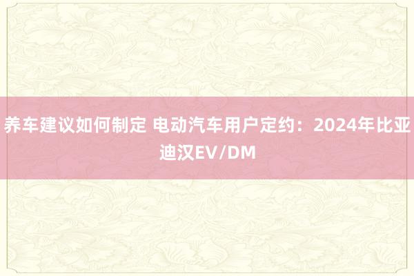 养车建议如何制定 电动汽车用户定约：2024年比亚迪汉EV/DM