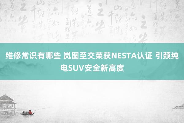 维修常识有哪些 岚图至交荣获NESTA认证 引颈纯电SUV安全新高度