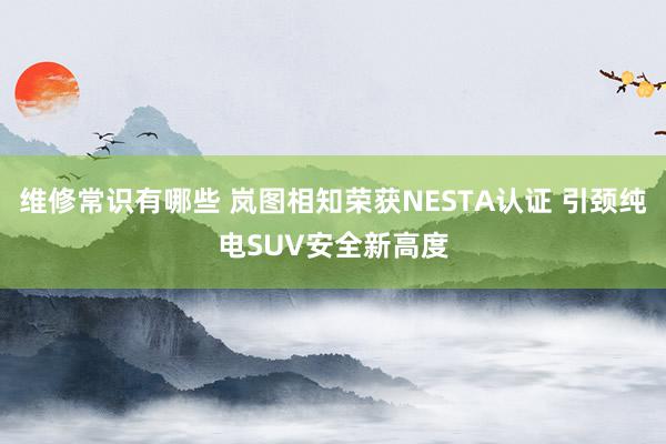 维修常识有哪些 岚图相知荣获NESTA认证 引颈纯电SUV安全新高度