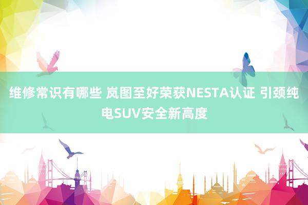 维修常识有哪些 岚图至好荣获NESTA认证 引颈纯电SUV安全新高度