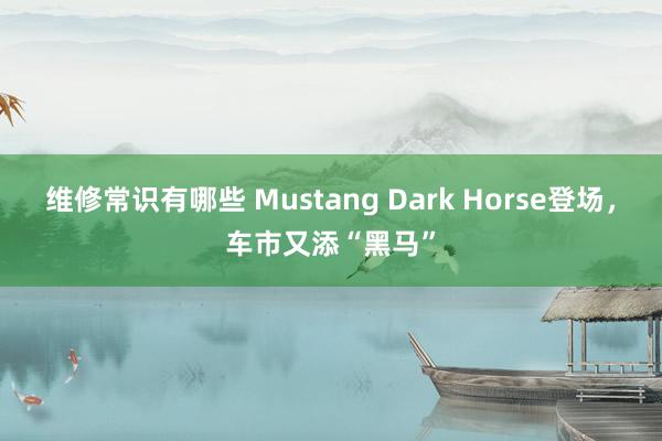 维修常识有哪些 Mustang Dark Horse登场，车市又添“黑马”