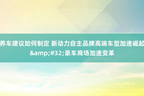 养车建议如何制定 新动力自主品牌高端车型加速崛起&#32;豪车商场加速变革