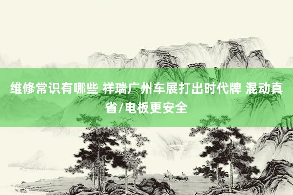 维修常识有哪些 祥瑞广州车展打出时代牌 混动真省/电板更安全