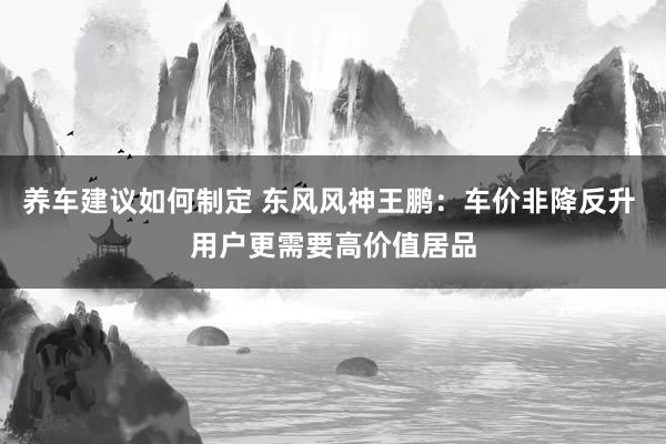 养车建议如何制定 东风风神王鹏：车价非降反升 用户更需要高价值居品