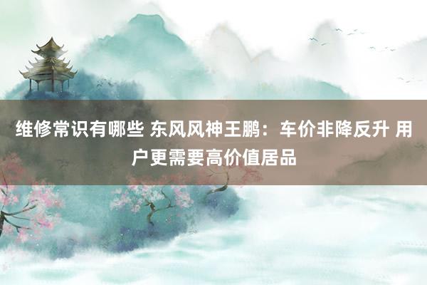 维修常识有哪些 东风风神王鹏：车价非降反升 用户更需要高价值居品