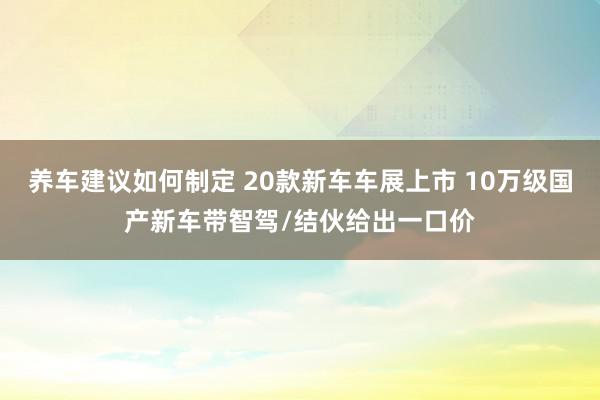 养车建议如何制定 20款新车车展上市 10万级国产新车带智驾/结伙给出一口价