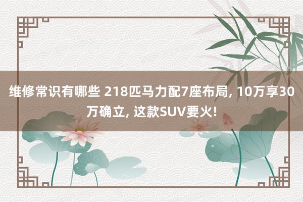 维修常识有哪些 218匹马力配7座布局, 10万享30万确立, 这款SUV要火!