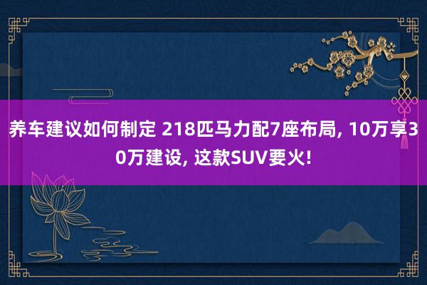 养车建议如何制定 218匹马力配7座布局, 10万享30万建设, 这款SUV要火!