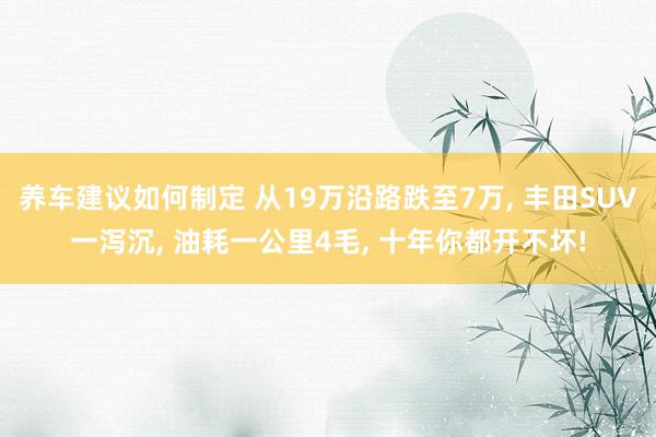 养车建议如何制定 从19万沿路跌至7万, 丰田SUV一泻沉, 油耗一公里4毛, 十年你都开不坏!