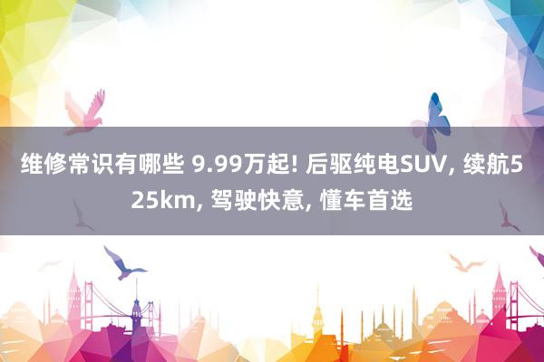 维修常识有哪些 9.99万起! 后驱纯电SUV, 续航525km, 驾驶快意, 懂车首选