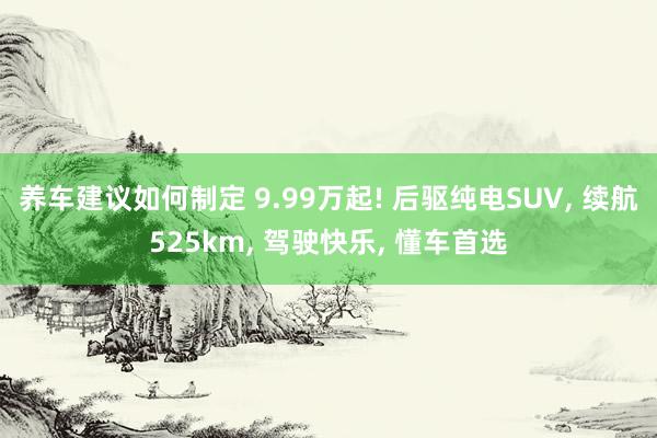 养车建议如何制定 9.99万起! 后驱纯电SUV, 续航525km, 驾驶快乐, 懂车首选