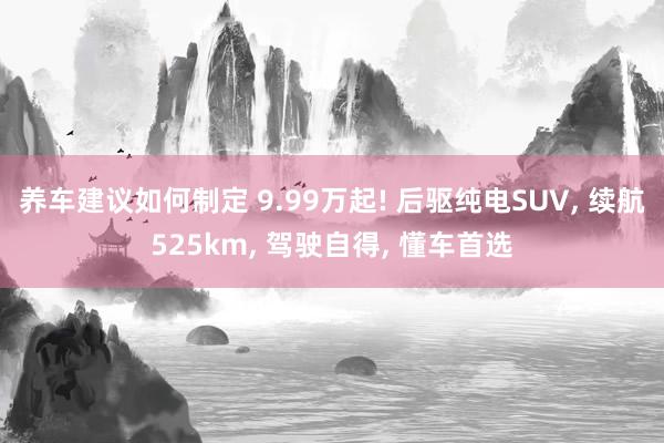 养车建议如何制定 9.99万起! 后驱纯电SUV, 续航525km, 驾驶自得, 懂车首选