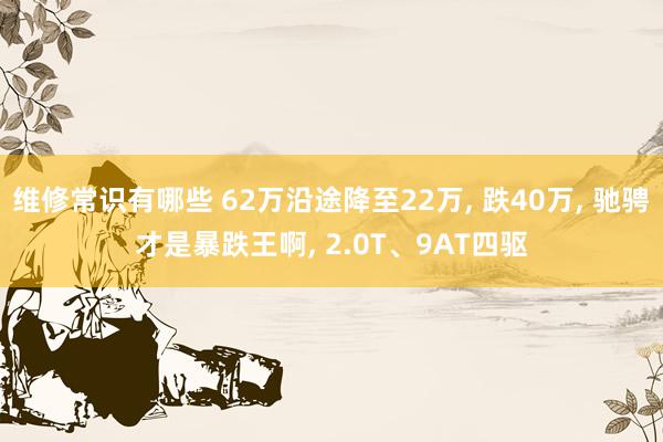 维修常识有哪些 62万沿途降至22万, 跌40万, 驰骋才是暴跌王啊, 2.0T、9AT四驱