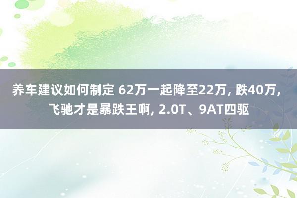 养车建议如何制定 62万一起降至22万, 跌40万, 飞驰才是暴跌王啊, 2.0T、9AT四驱