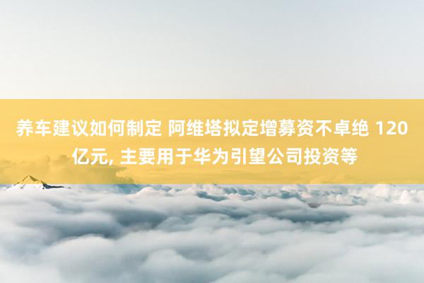 养车建议如何制定 阿维塔拟定增募资不卓绝 120 亿元, 主要用于华为引望公司投资等