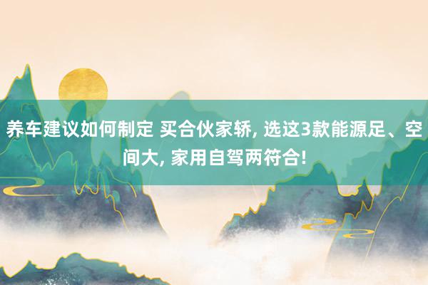 养车建议如何制定 买合伙家轿, 选这3款能源足、空间大, 家用自驾两符合!