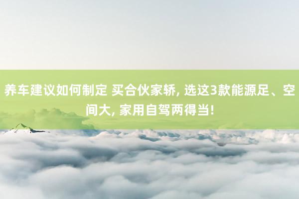 养车建议如何制定 买合伙家轿, 选这3款能源足、空间大, 家用自驾两得当!