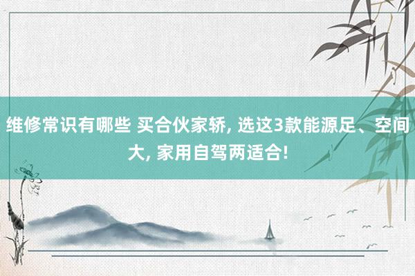 维修常识有哪些 买合伙家轿, 选这3款能源足、空间大, 家用自驾两适合!