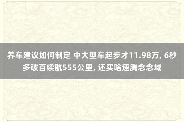 养车建议如何制定 中大型车起步才11.98万, 6秒多破百续航555公里, 还买啥速腾念念域