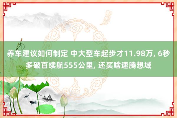 养车建议如何制定 中大型车起步才11.98万, 6秒多破百续航555公里, 还买啥速腾想域