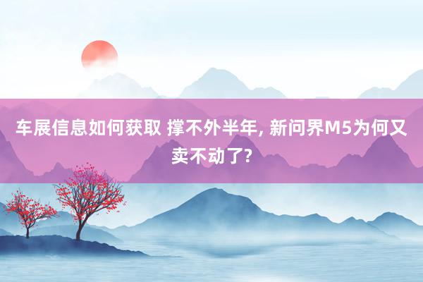 车展信息如何获取 撑不外半年, 新问界M5为何又卖不动了?