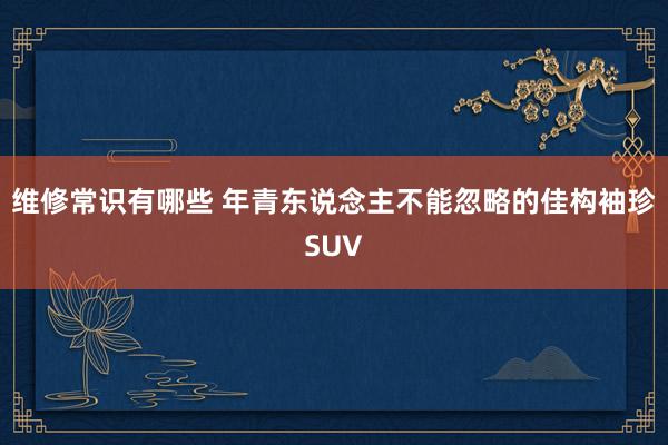 维修常识有哪些 年青东说念主不能忽略的佳构袖珍SUV