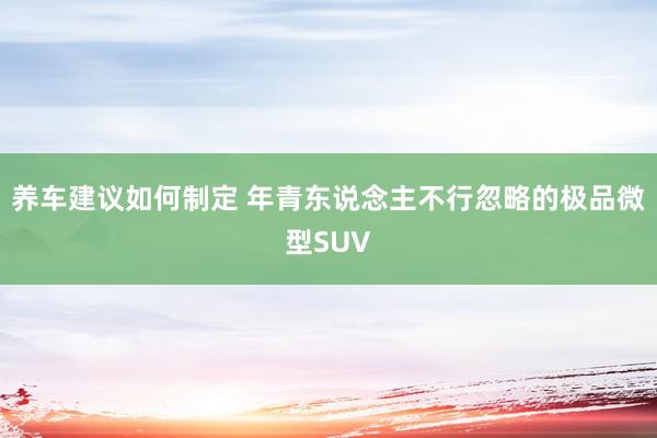 养车建议如何制定 年青东说念主不行忽略的极品微型SUV