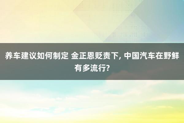 养车建议如何制定 金正恩贬责下, 中国汽车在野鲜有多流行?