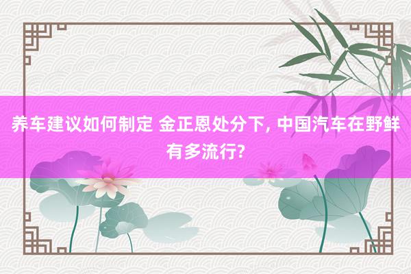 养车建议如何制定 金正恩处分下, 中国汽车在野鲜有多流行?