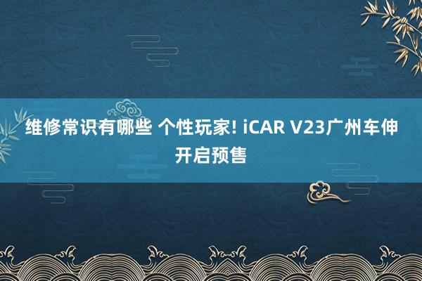 维修常识有哪些 个性玩家! iCAR V23广州车伸开启预售