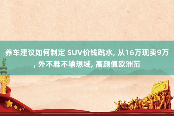 养车建议如何制定 SUV价钱跳水, 从16万现卖9万, 外不雅不输想域, 高颜值欧洲范