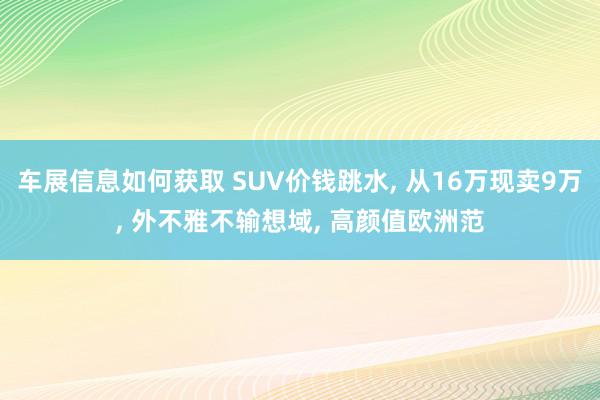 车展信息如何获取 SUV价钱跳水, 从16万现卖9万, 外不雅不输想域, 高颜值欧洲范