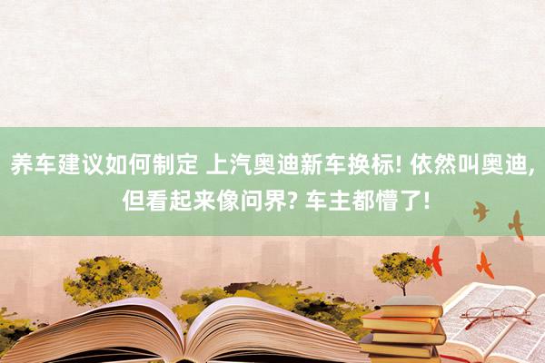 养车建议如何制定 上汽奥迪新车换标! 依然叫奥迪, 但看起来像问界? 车主都懵了!