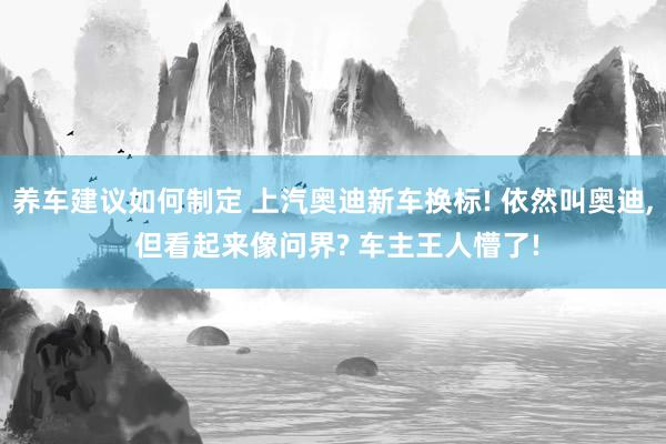 养车建议如何制定 上汽奥迪新车换标! 依然叫奥迪, 但看起来像问界? 车主王人懵了!