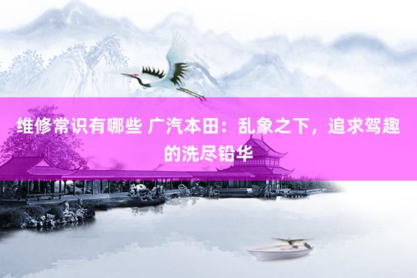 维修常识有哪些 广汽本田：乱象之下，追求驾趣的洗尽铅华