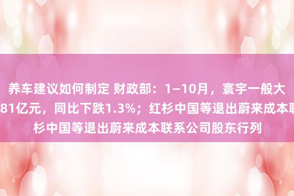 养车建议如何制定 财政部：1—10月，寰宇一般大众预算收入184981亿元，同比下跌1.3%；红杉中国等退出蔚来成本联系公司股东行列