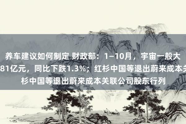 养车建议如何制定 财政部：1—10月，宇宙一般大家预算收入184981亿元，同比下跌1.3%；红杉中国等退出蔚来成本关联公司股东行列