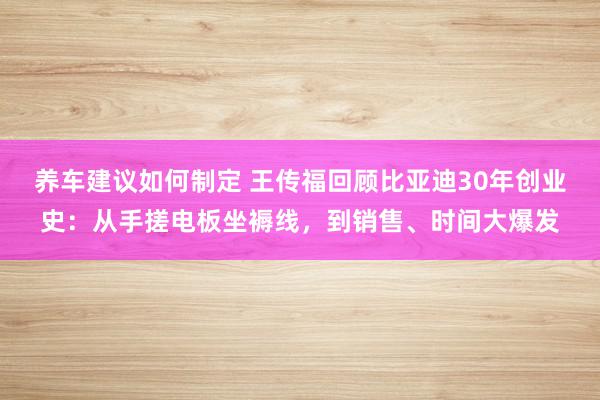 养车建议如何制定 王传福回顾比亚迪30年创业史：从手搓电板坐褥线，到销售、时间大爆发