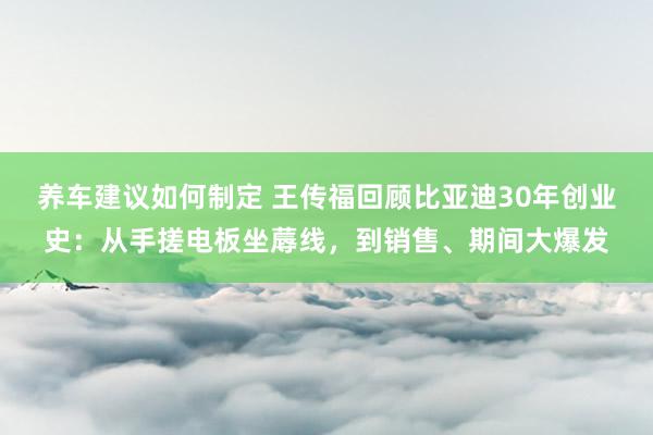 养车建议如何制定 王传福回顾比亚迪30年创业史：从手搓电板坐蓐线，到销售、期间大爆发