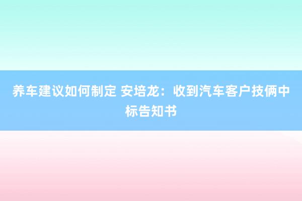 养车建议如何制定 安培龙：收到汽车客户技俩中标告知书