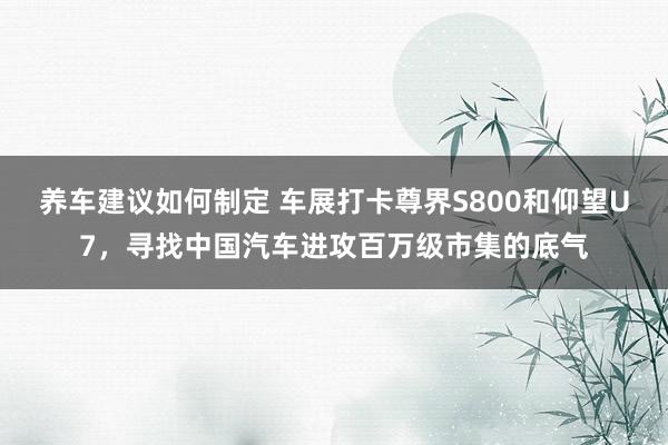 养车建议如何制定 车展打卡尊界S800和仰望U7，寻找中国汽车进攻百万级市集的底气