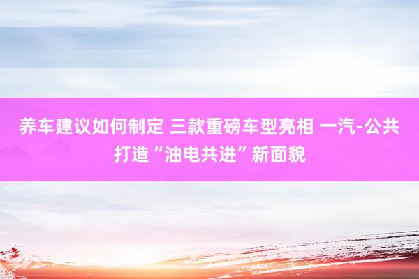 养车建议如何制定 三款重磅车型亮相 一汽-公共打造“油电共进”新面貌